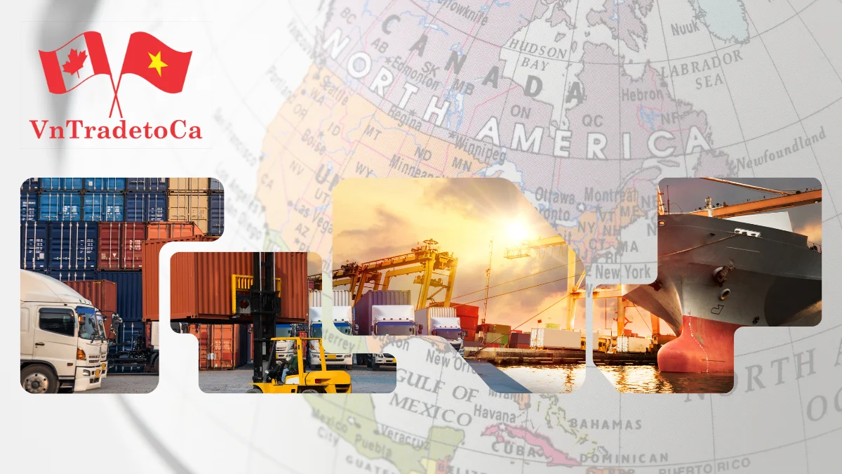 VnTradetoCa