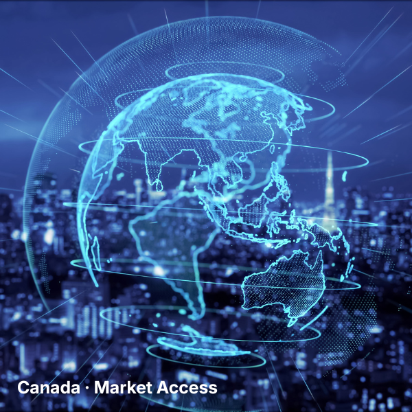 Canada Market Banner Background